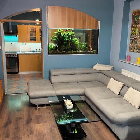 Suk Apartman 24 Suchdol nad Luznici Esterno foto